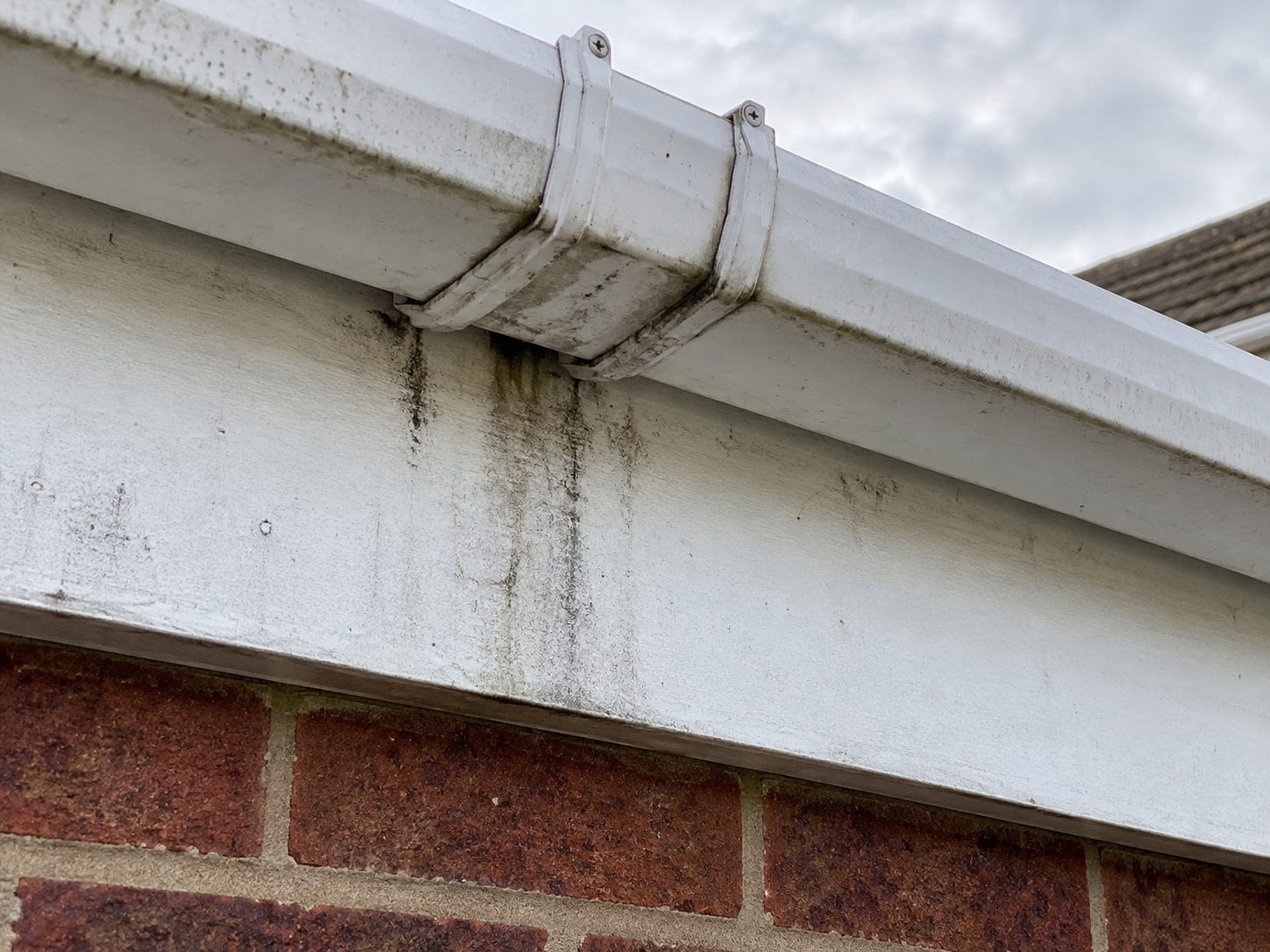 Water staining below a gutter joint on a white fascia board