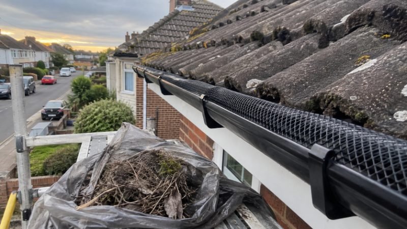 Bird Guard and Gutter Mesh Fitting in Portsmouth